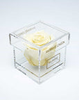 Incredibly sophisticated champagne single infinity rose in a classy acrylic rose box, ideal gift for Valentine's Day and other memorable romantic events in you life.