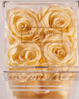 Beautiful champagne roses in a range of four, connoting excitement and celebration   