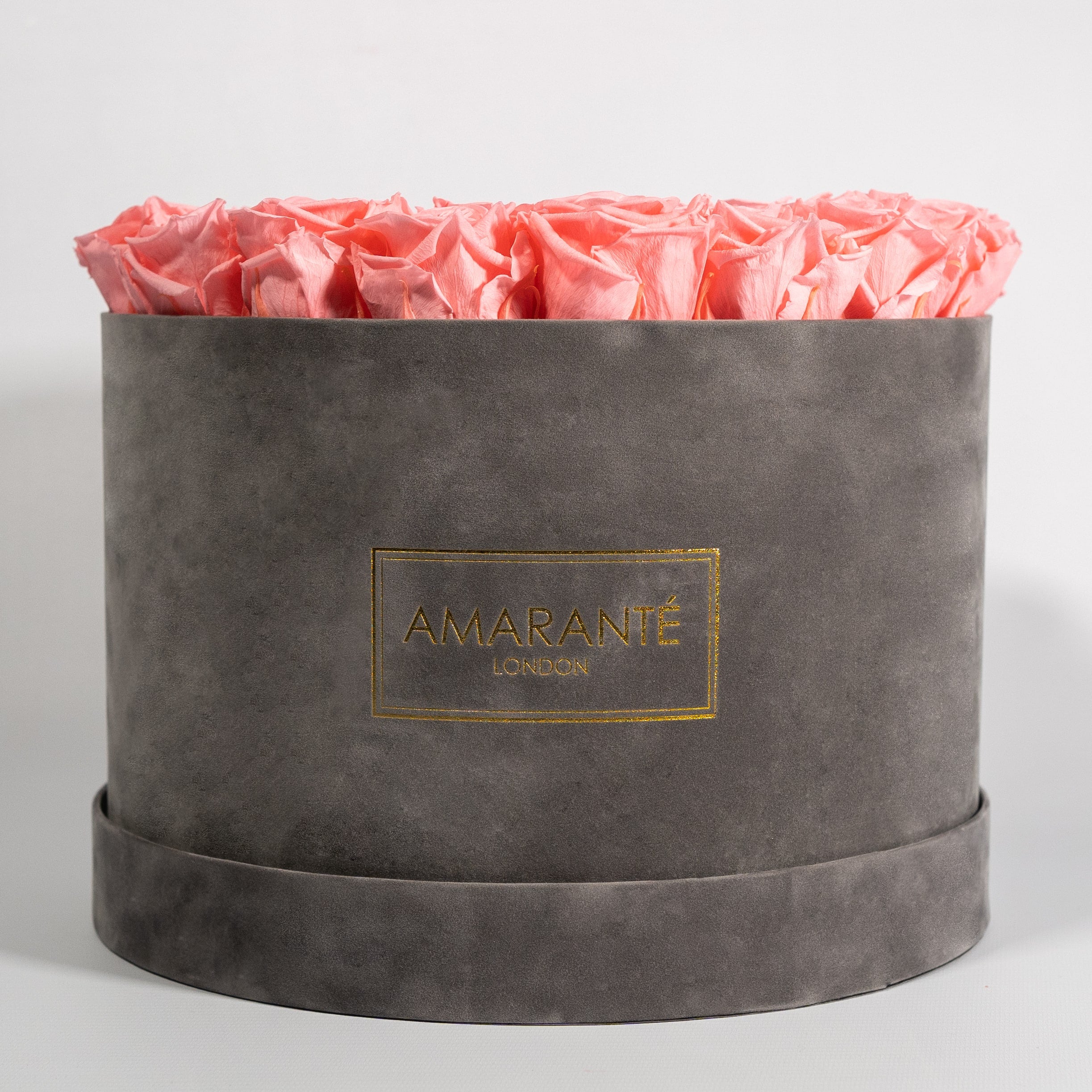 Blushing light pink Roses, the perfect gift to show gratitude and security.