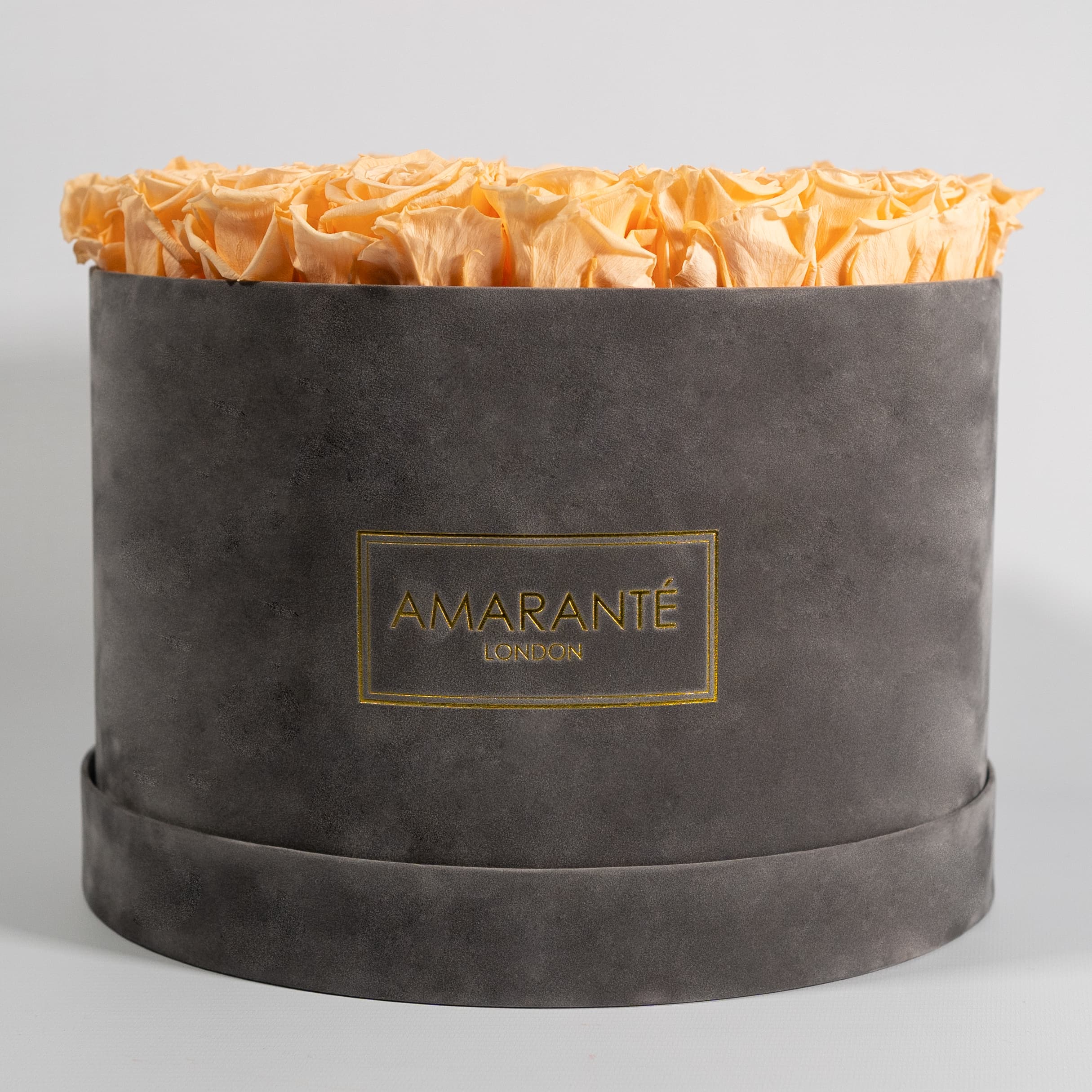 Elegant peach Roses, the perfect gift for a sibling or a friend, implying adventure and optimism. 