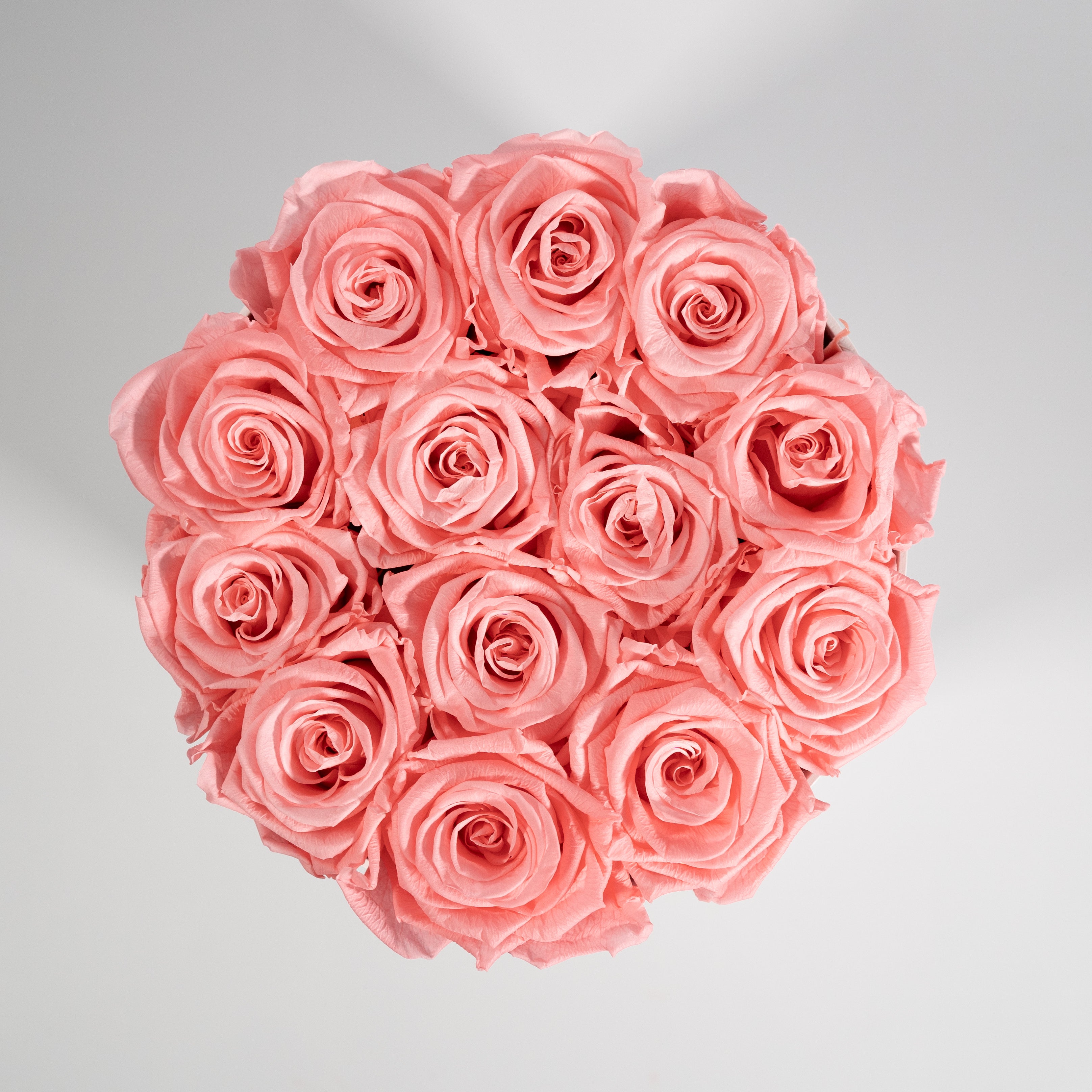 blushing light pink Roses in a medium white box 
