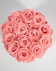 blushing light pink Roses in a medium white box 