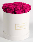Expressive hot pink Roses denoting beauty, love, and sympathy. 