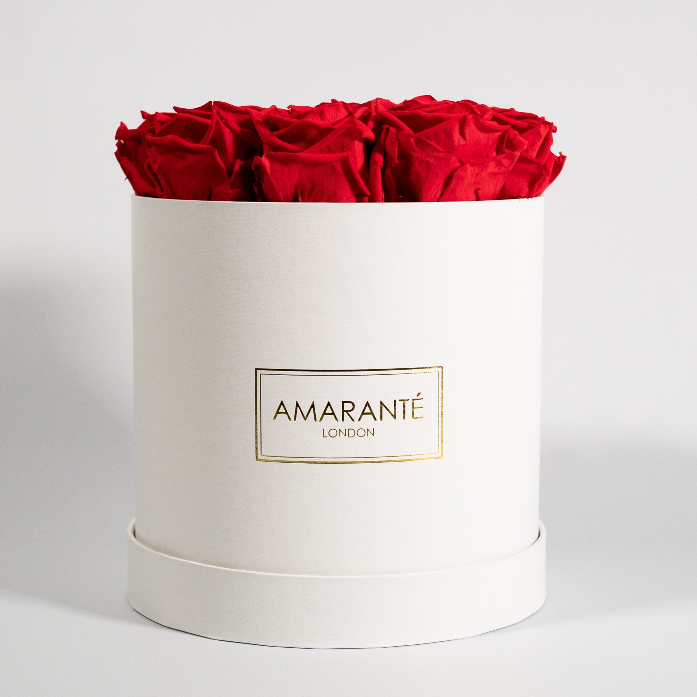 Magnificent red Roses connoting romance and love. 