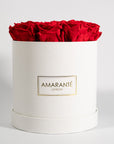 Magnificent red Roses connoting romance and love. 