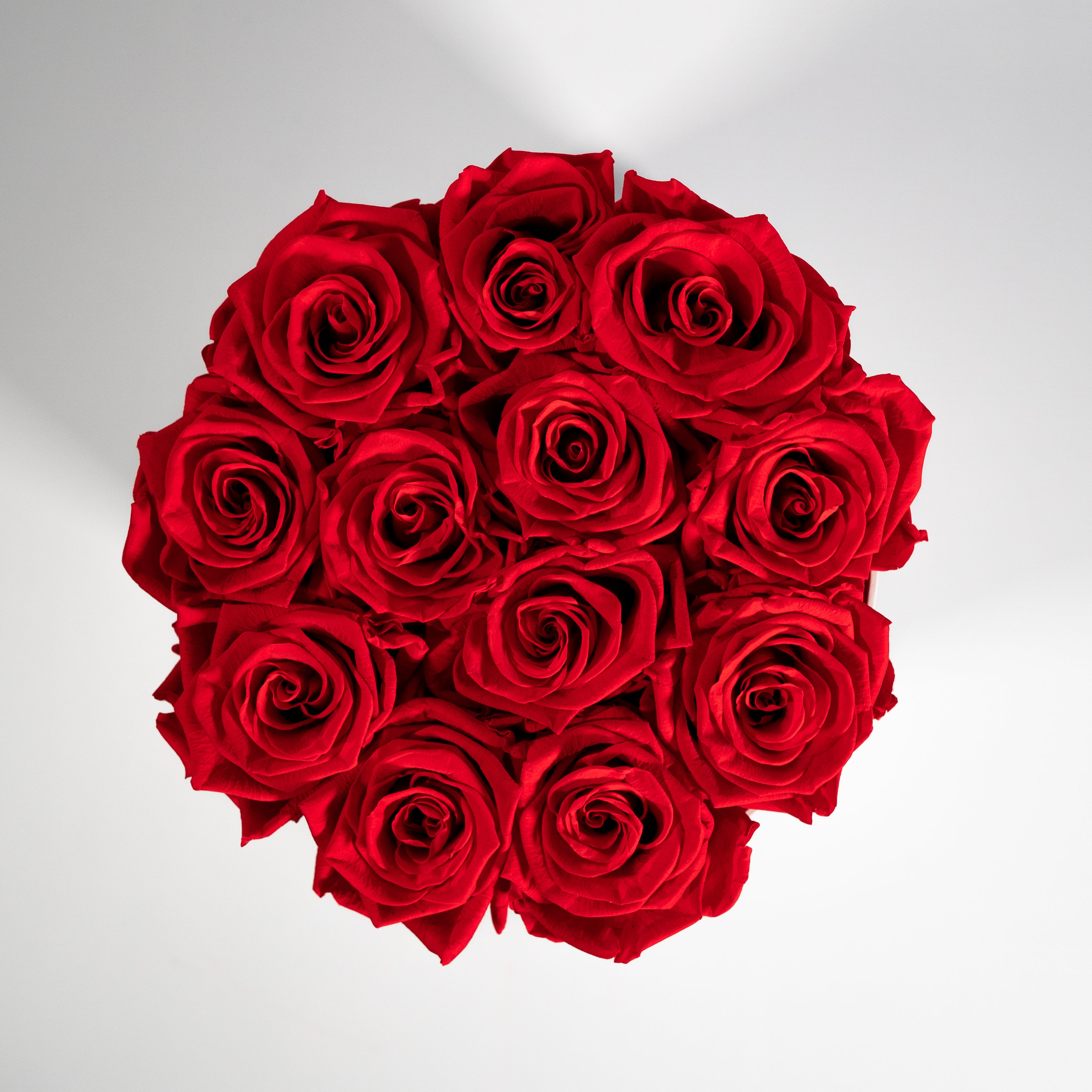 Enchanting red Roses, the perfect gift for your significant other. 