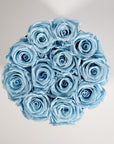Dapper light blue Roses expressing protection and healing. 