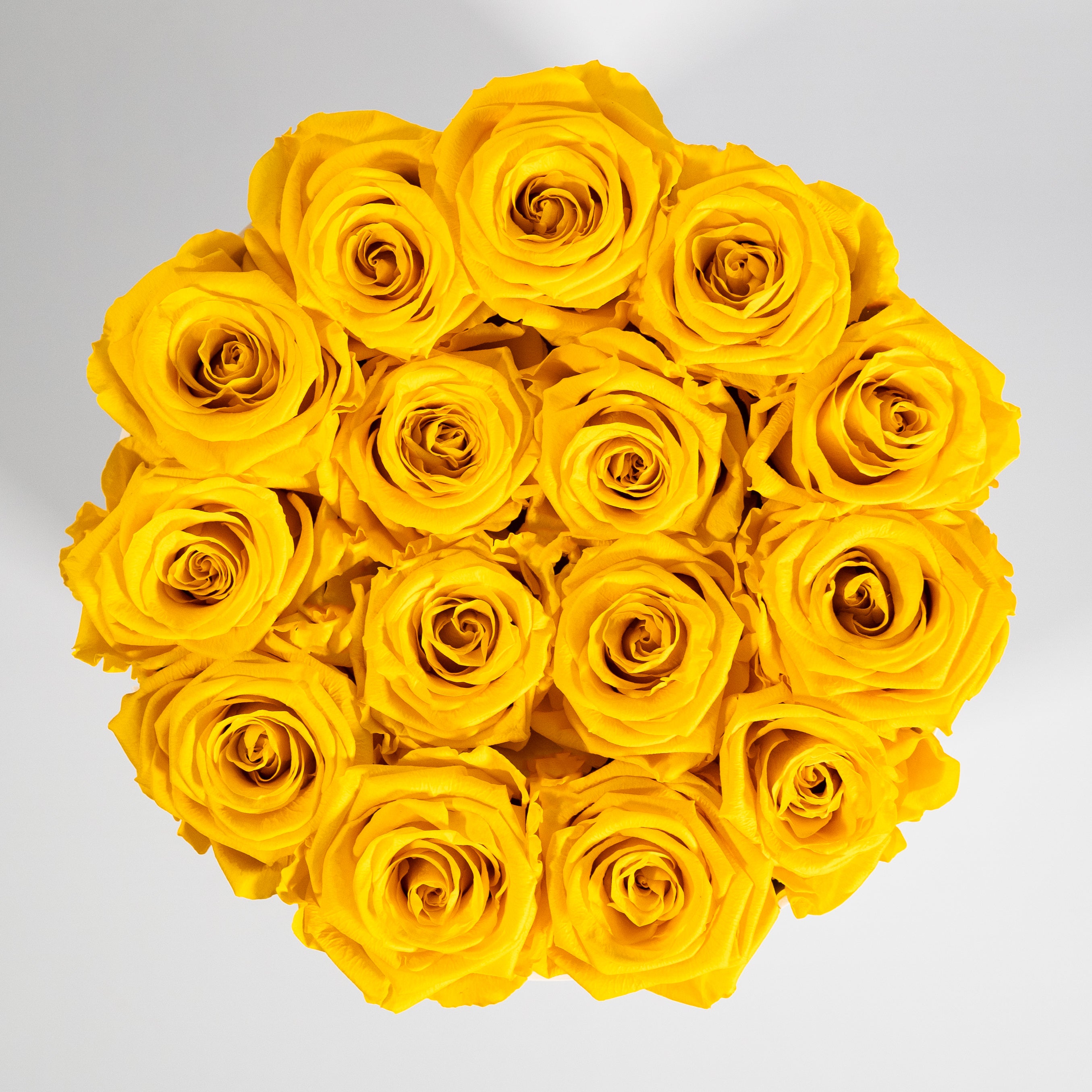 Delightful yellow Roses in a stunning white box 