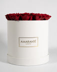 Idyllic wine red Roses implying romance and courage 