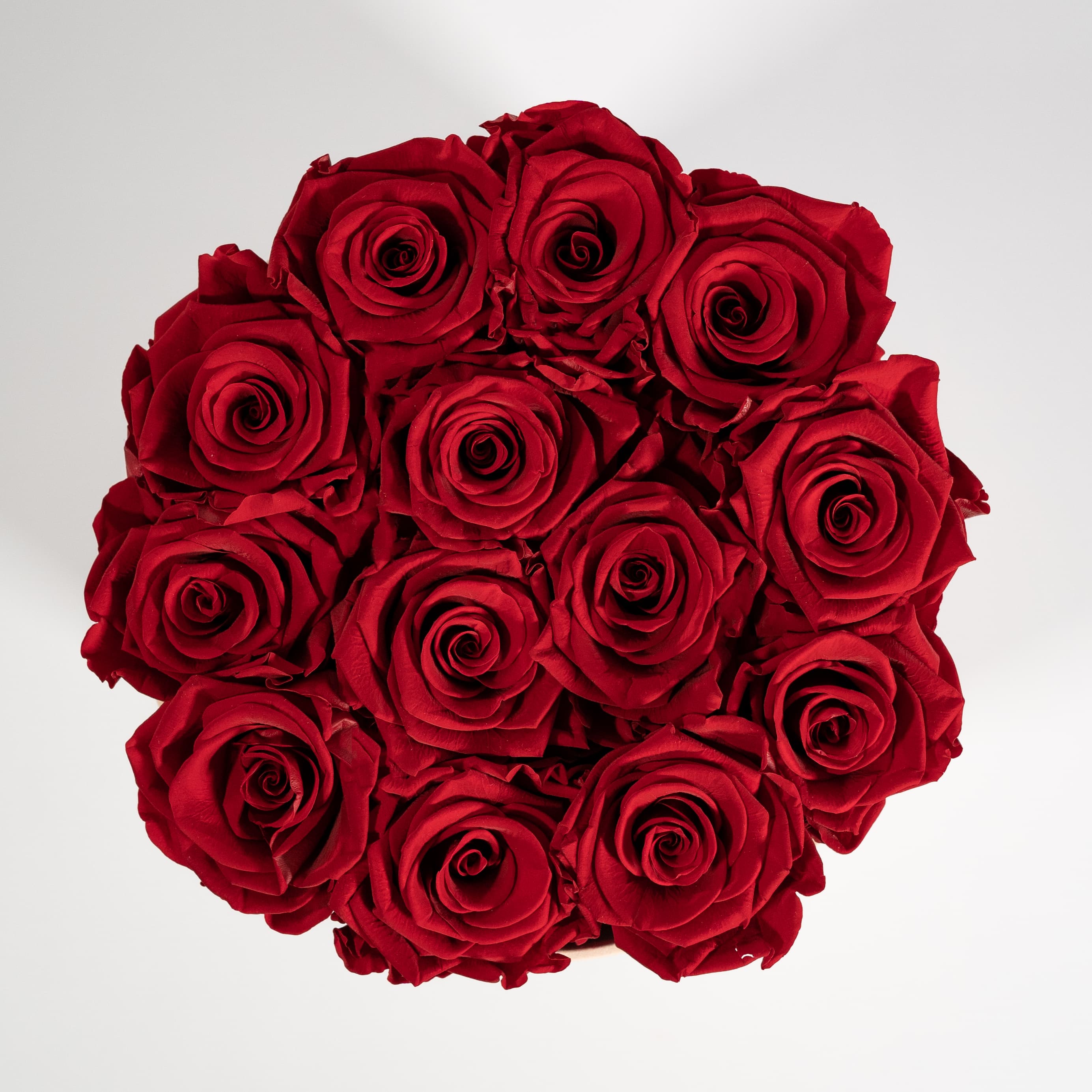 Divine wine red roses in a dapper beige box. 