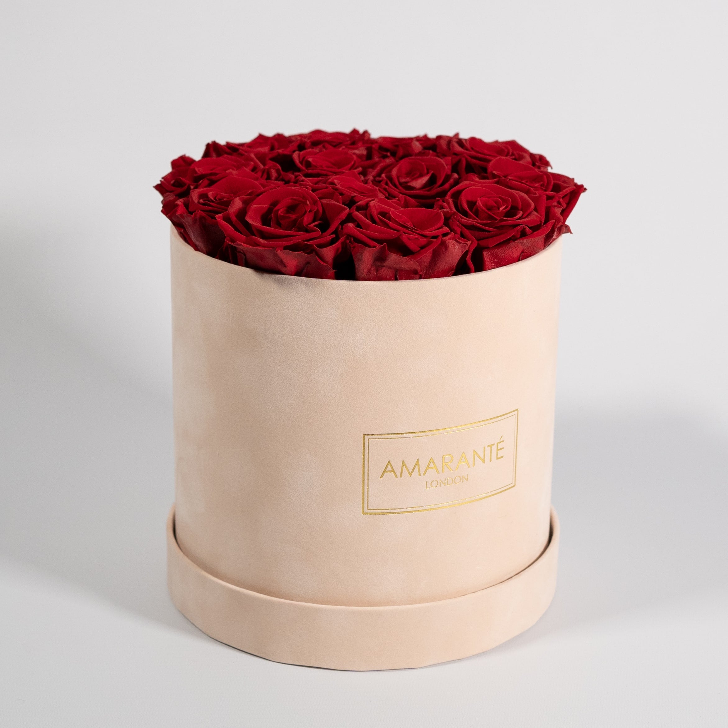 Majestic beige box featuring beautiful wine red roses. 