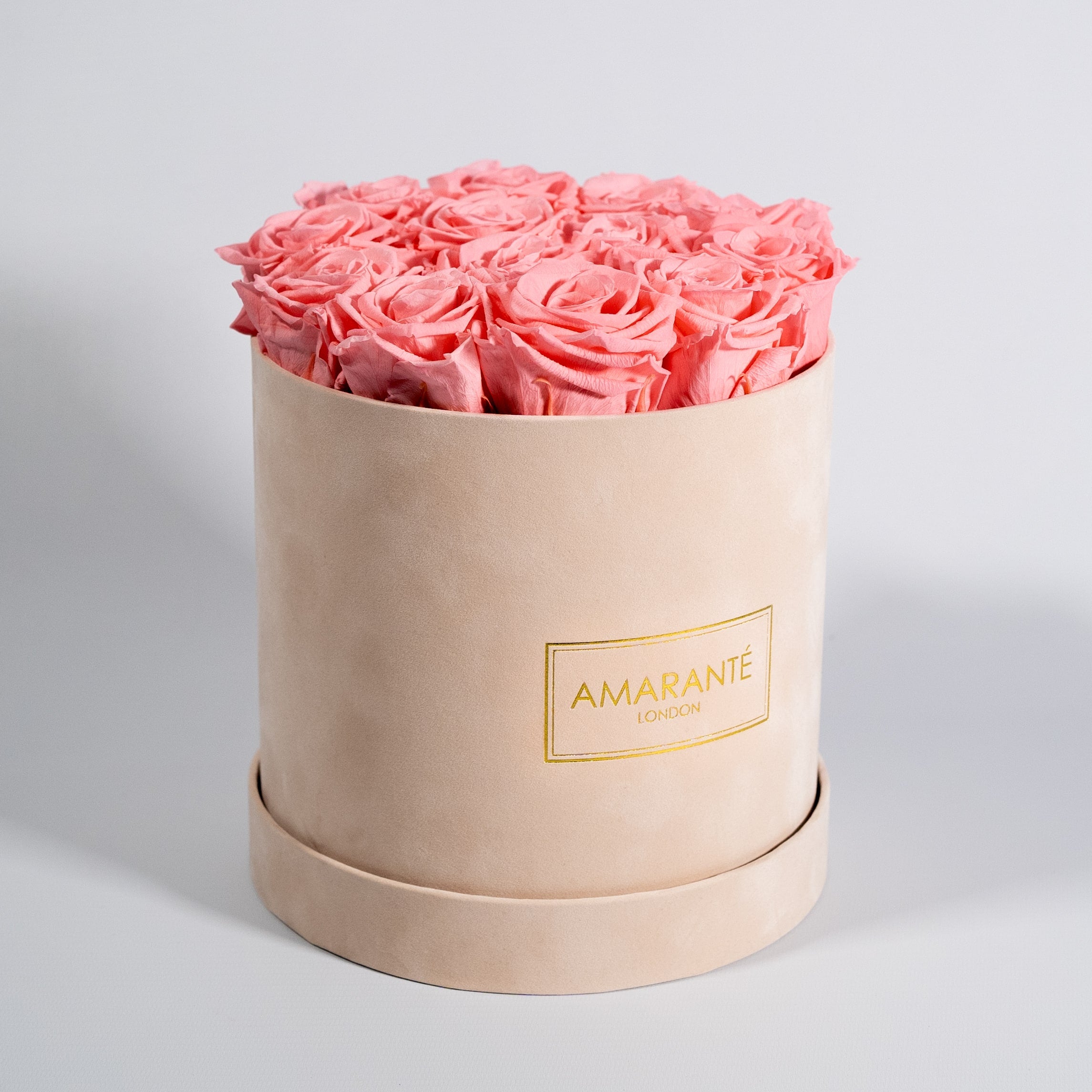 Blushing light pink roses photographed in a beautiful beige box. 