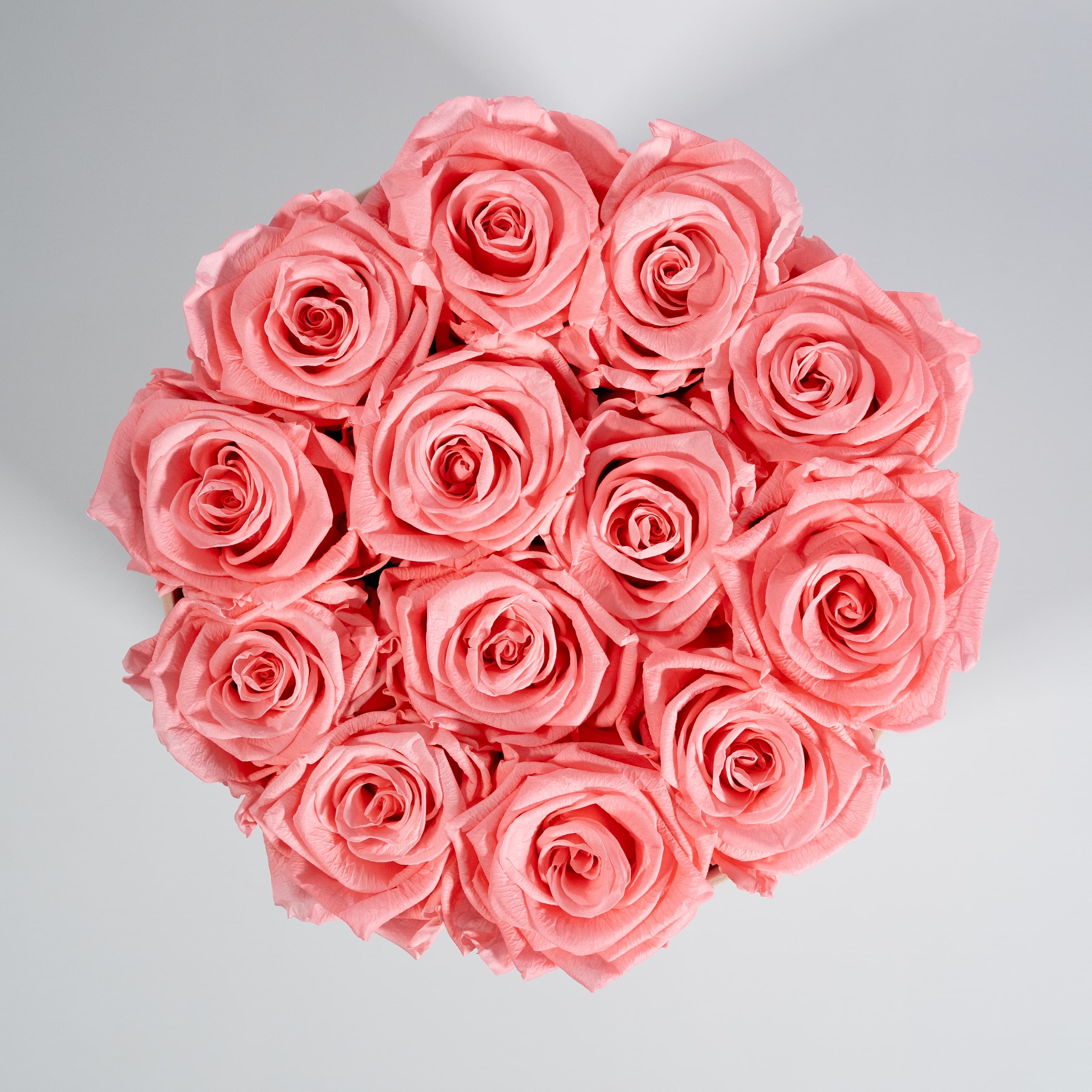 Captivating light pink roses in a modern beige box. 