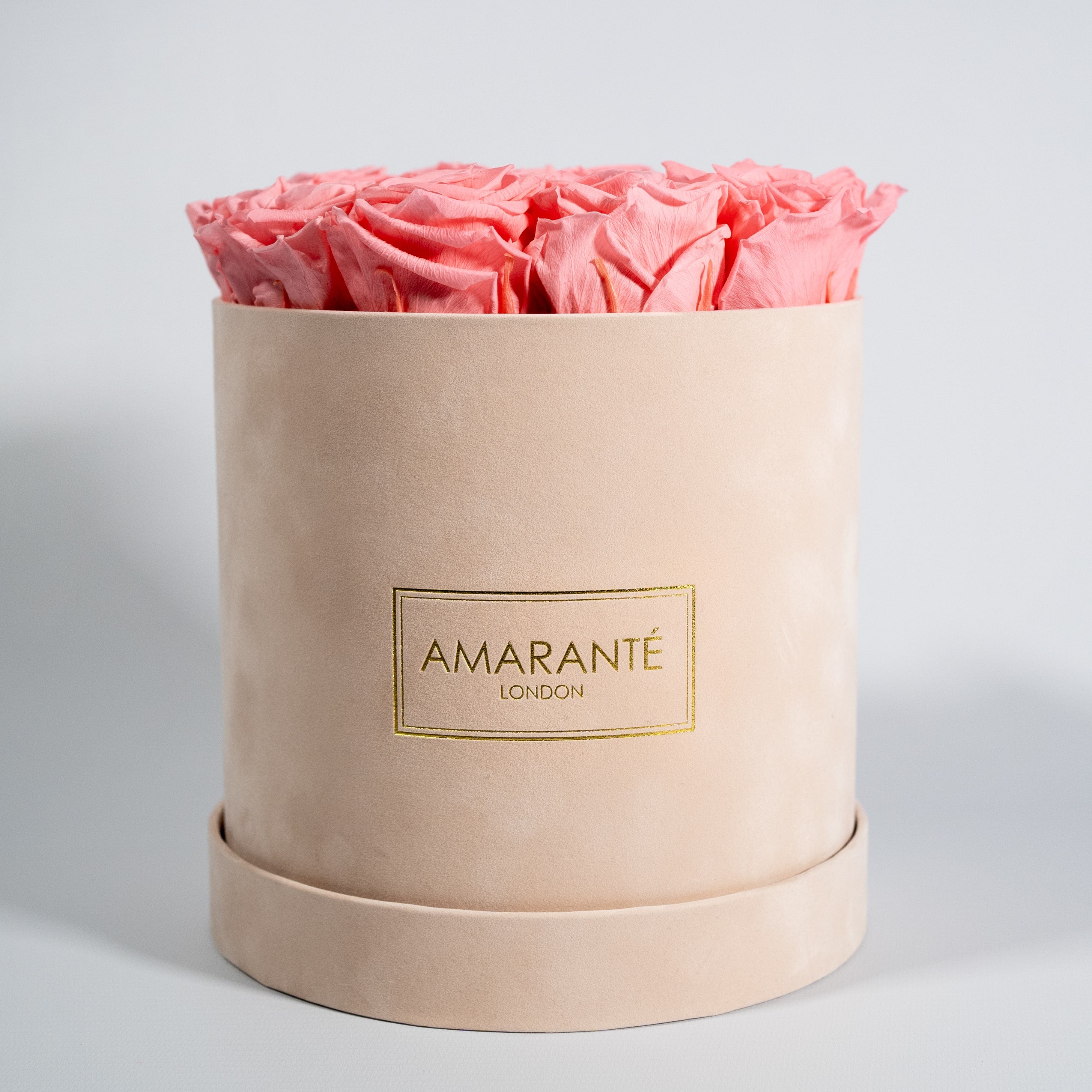 Aromatic light pink roses denoting beauty, love, and romance. 