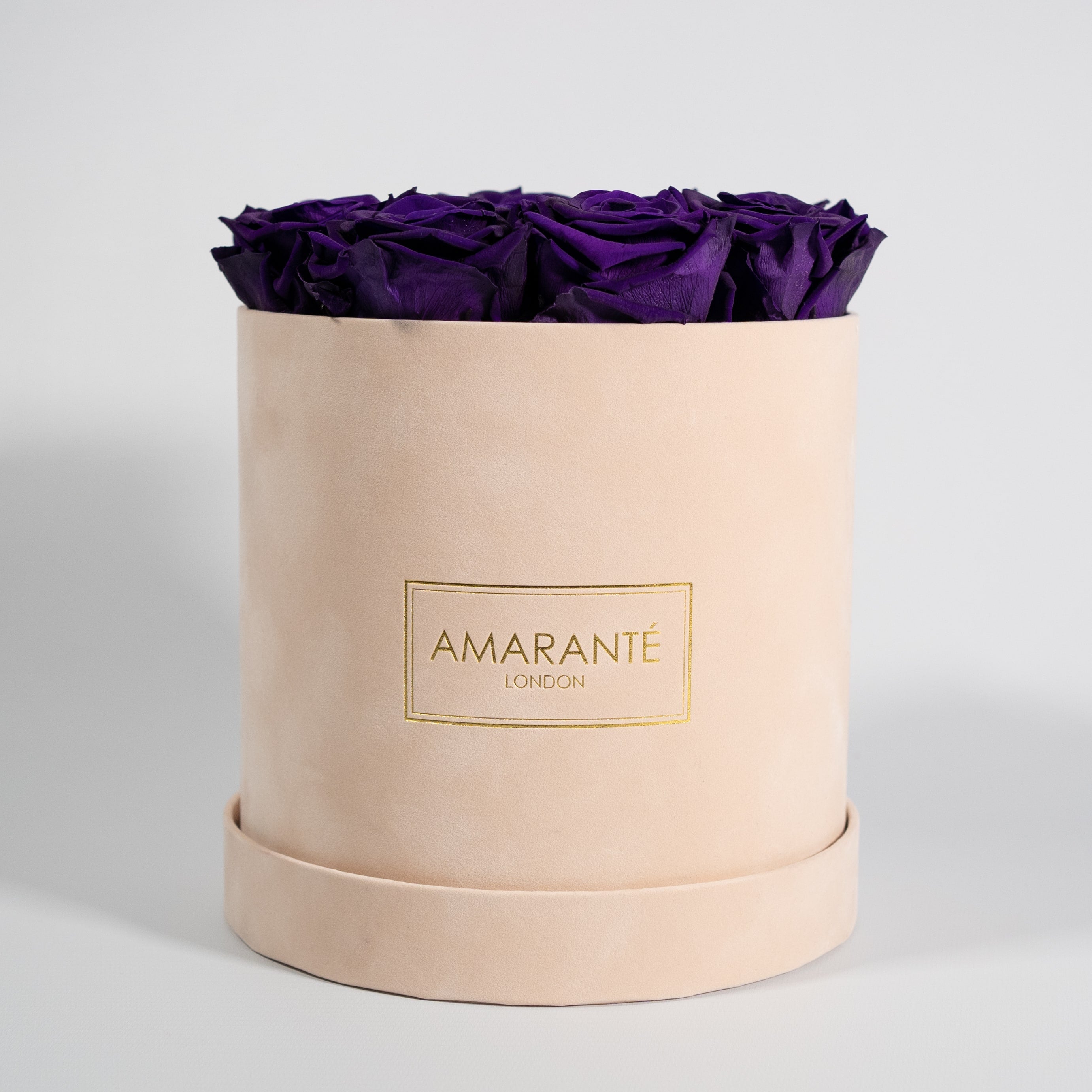 Stunning dark purple roses implying wisdom, creativity, and magic.