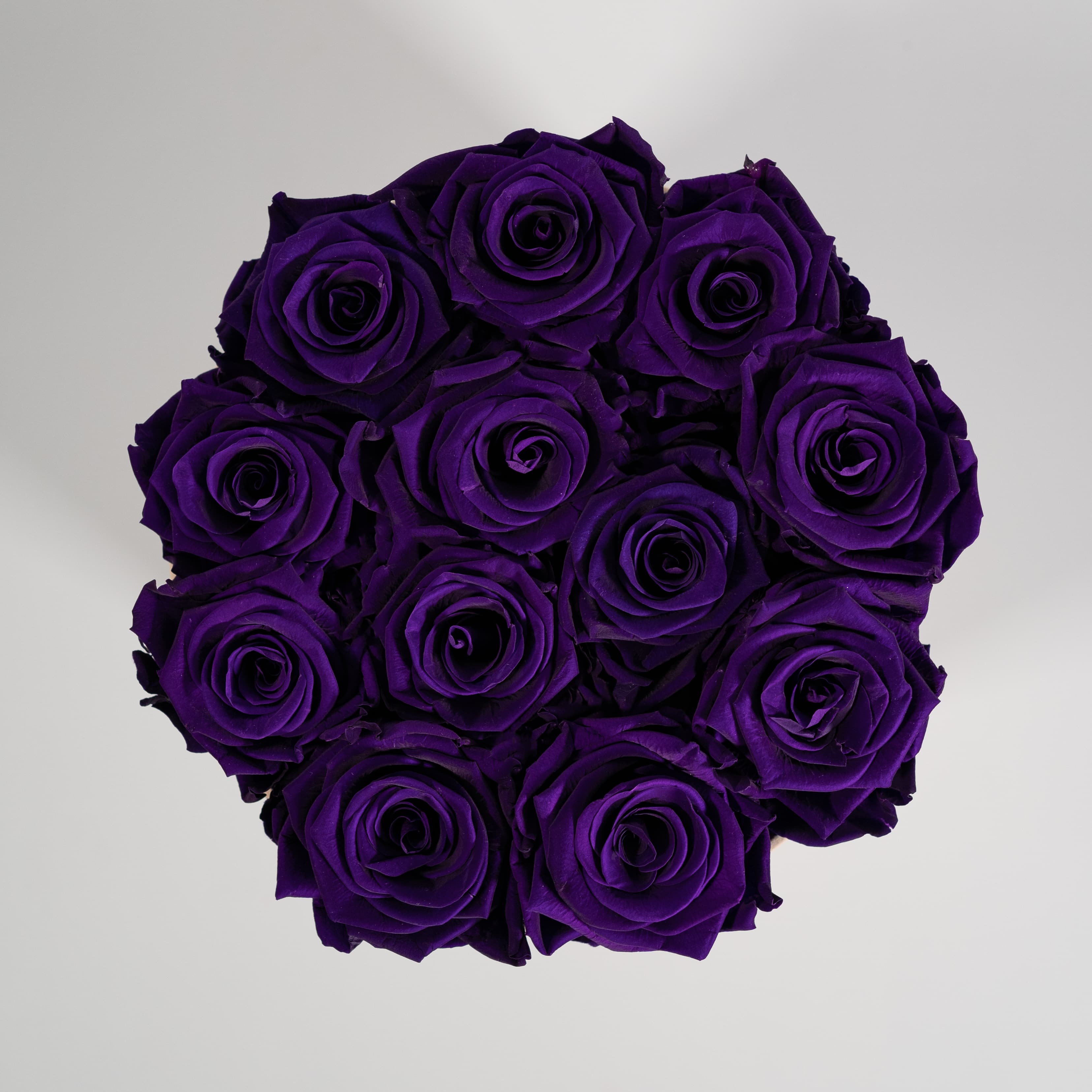 Artful dark purple roses expressing wisdom, creativity, and luxury. 