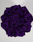Artful dark purple roses expressing wisdom, creativity, and luxury. 
