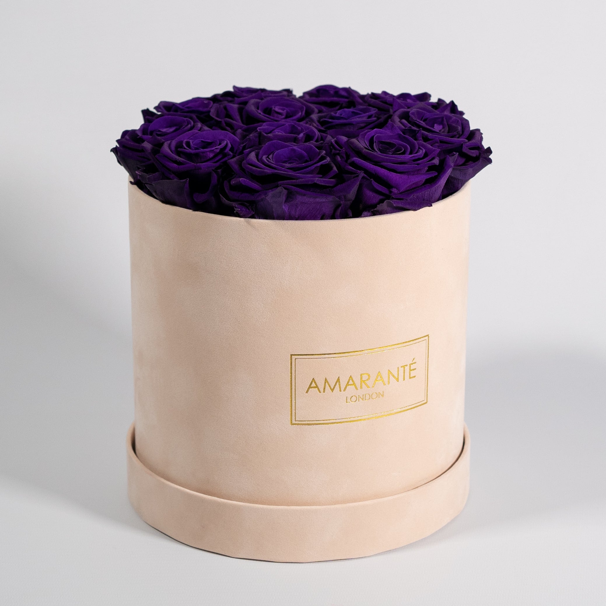 Eye-catching dark purple rose implying compassion and fantasy. 