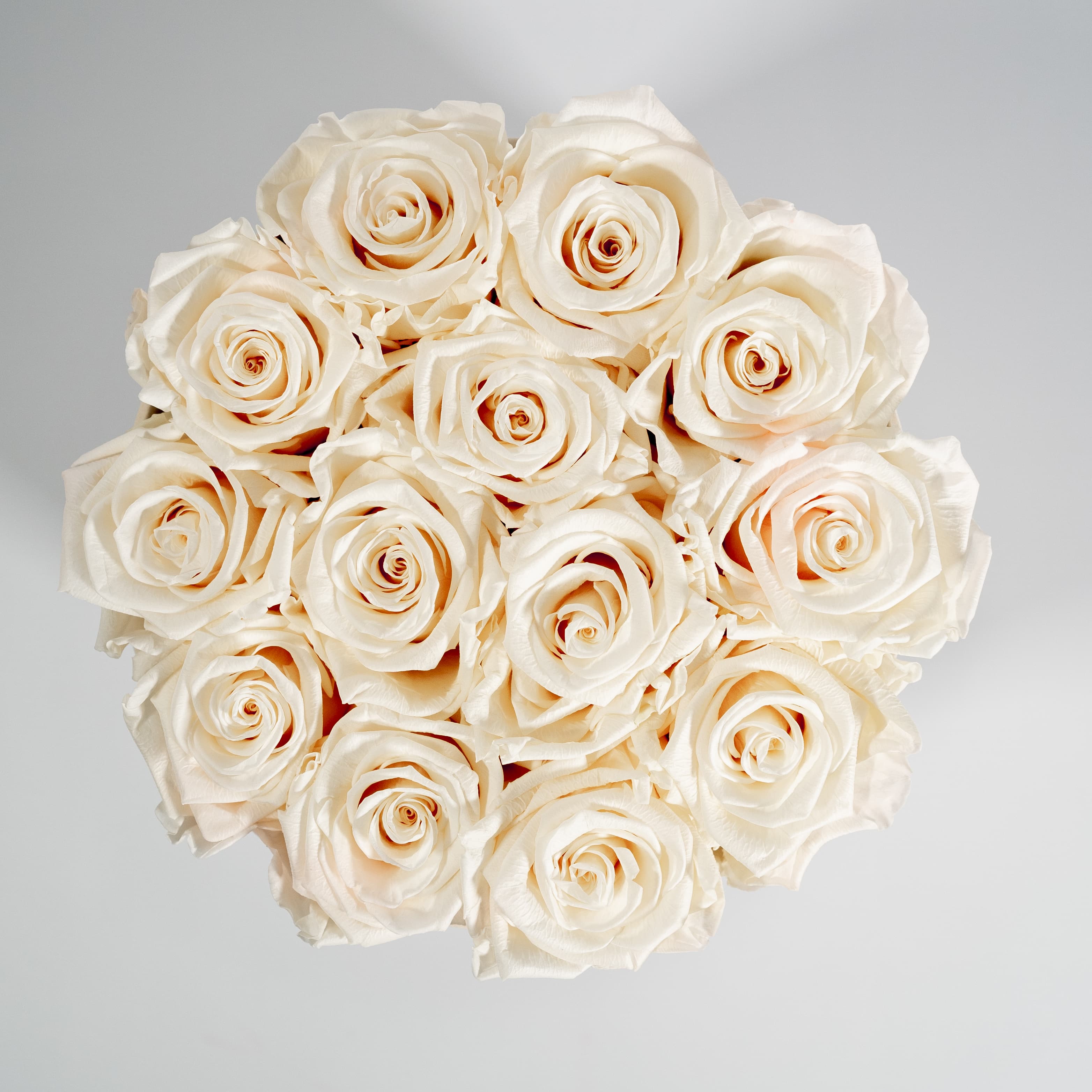 Majestic champagne roses in a dapper beige box connoting excitement and celebration. 