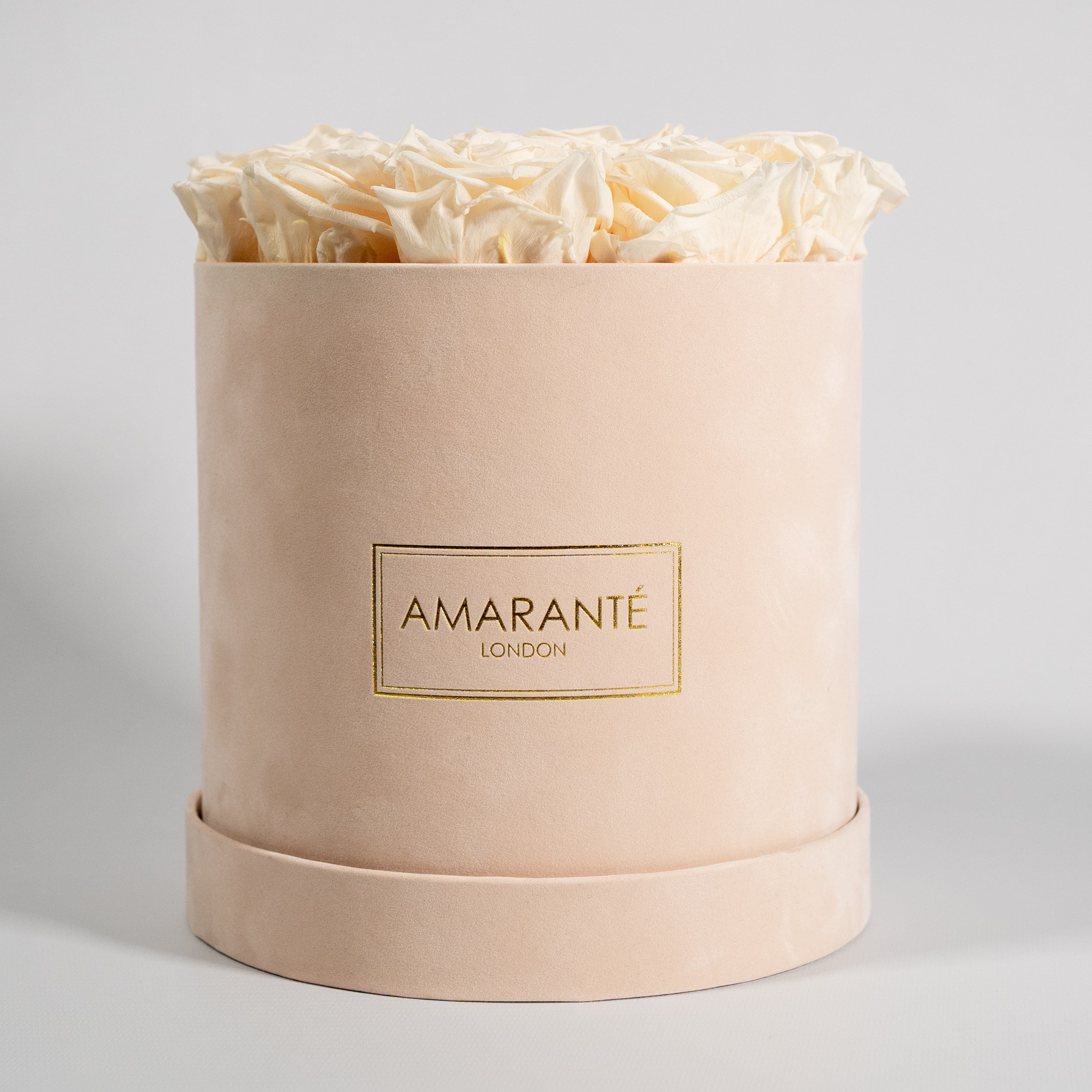 Abloom champagne roses included in a gorgeous beige medium box. 