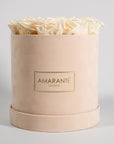 Abloom champagne roses included in a gorgeous beige medium box. 