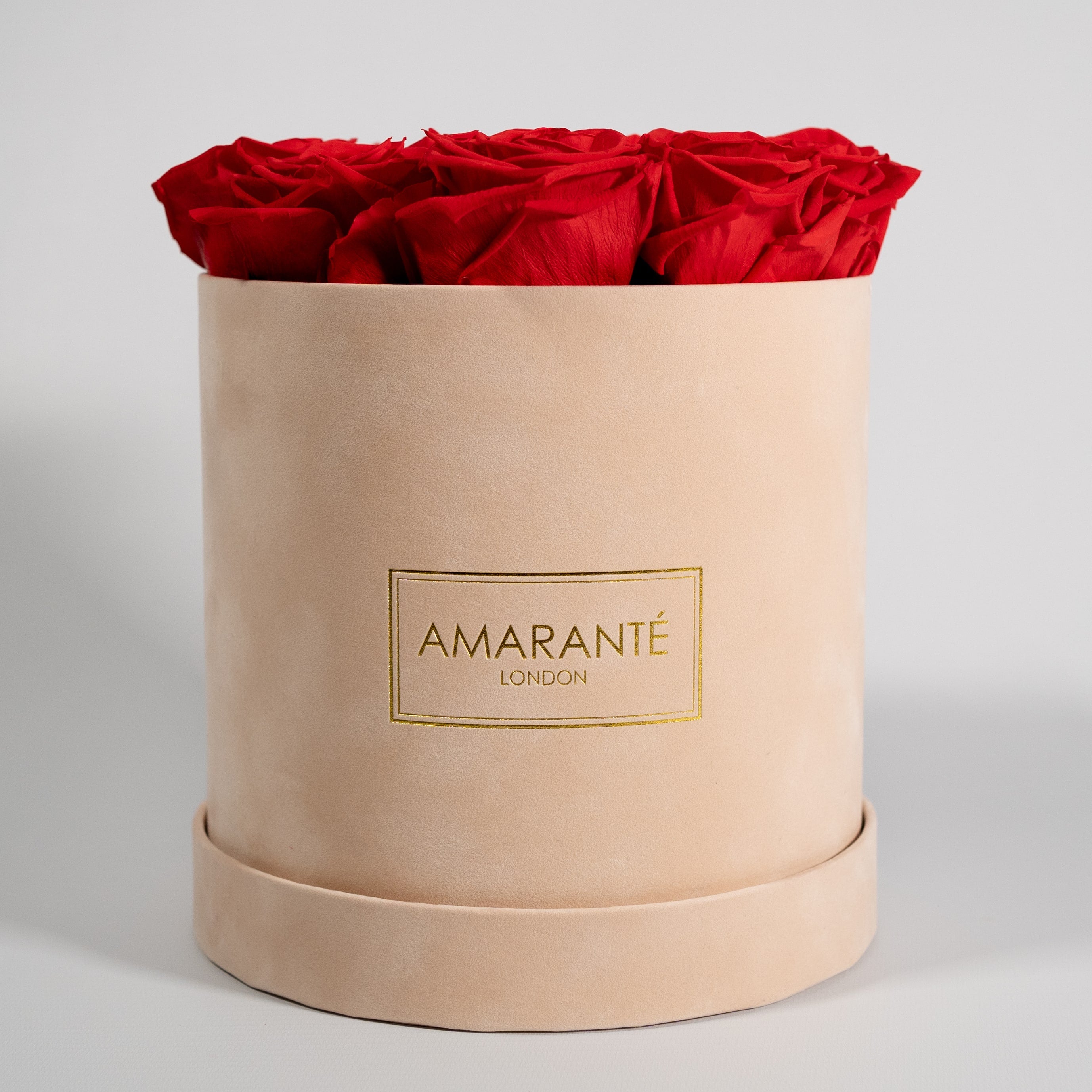 Divine red roses implying beauty, love, and admiration. 