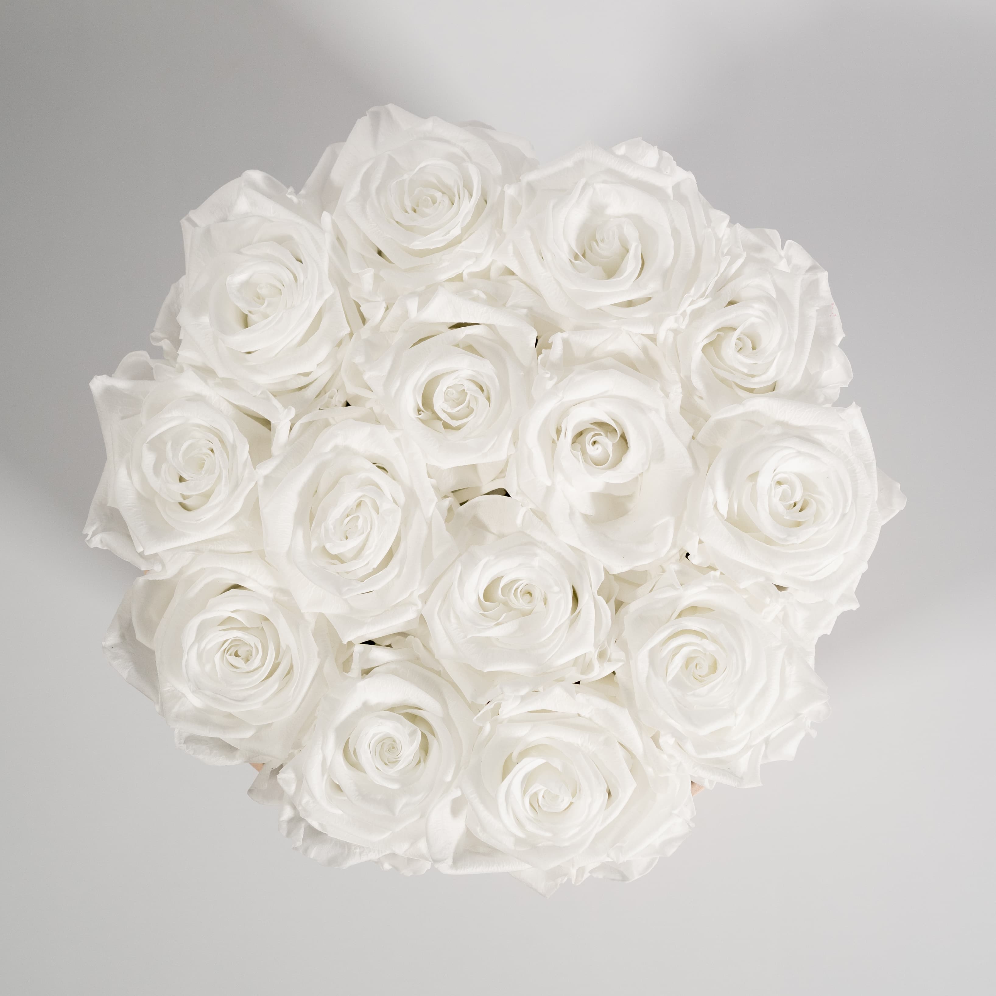 Delicate white roses in a beige round hat box. 