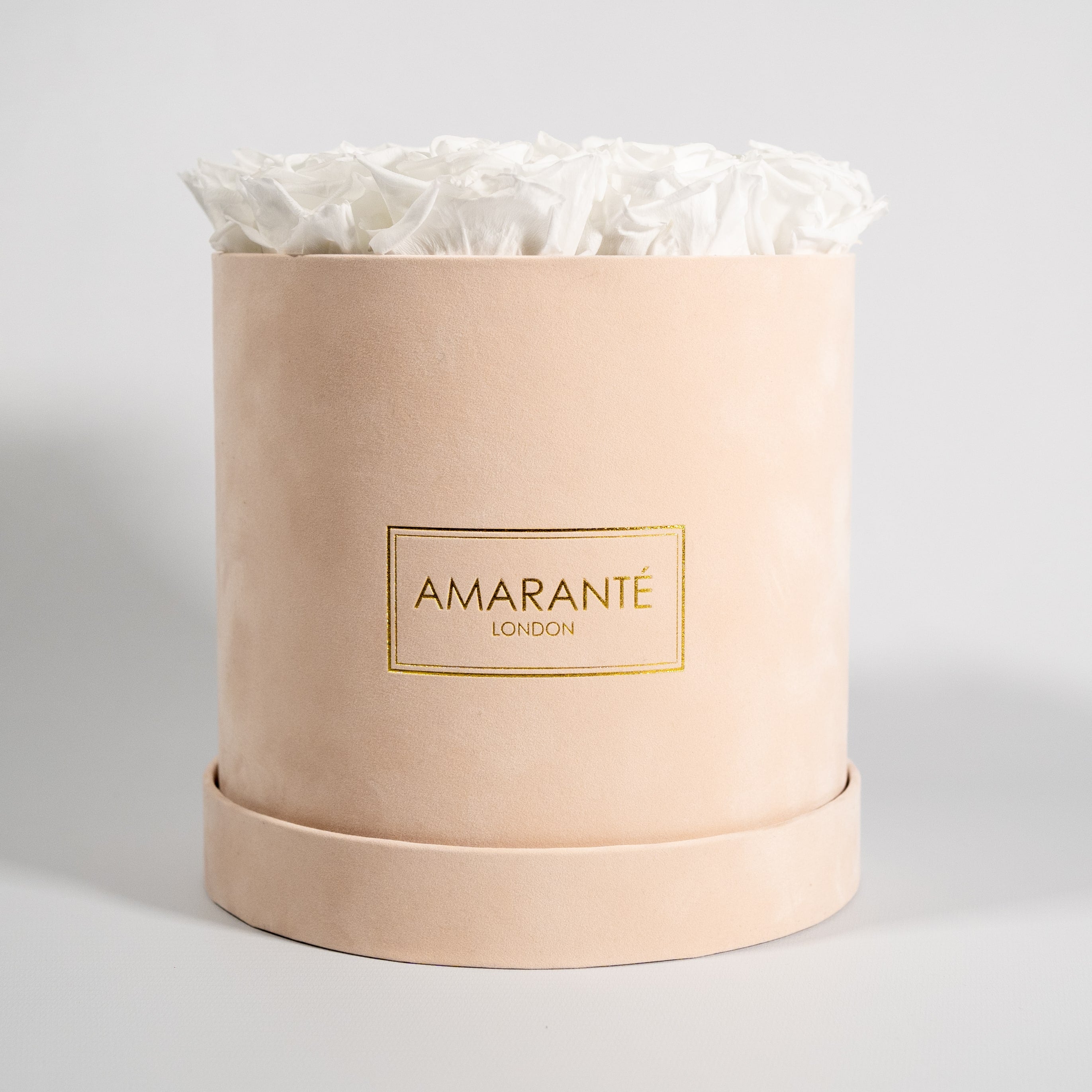 Captivating white roses expressing balance, clarity, and peace. 