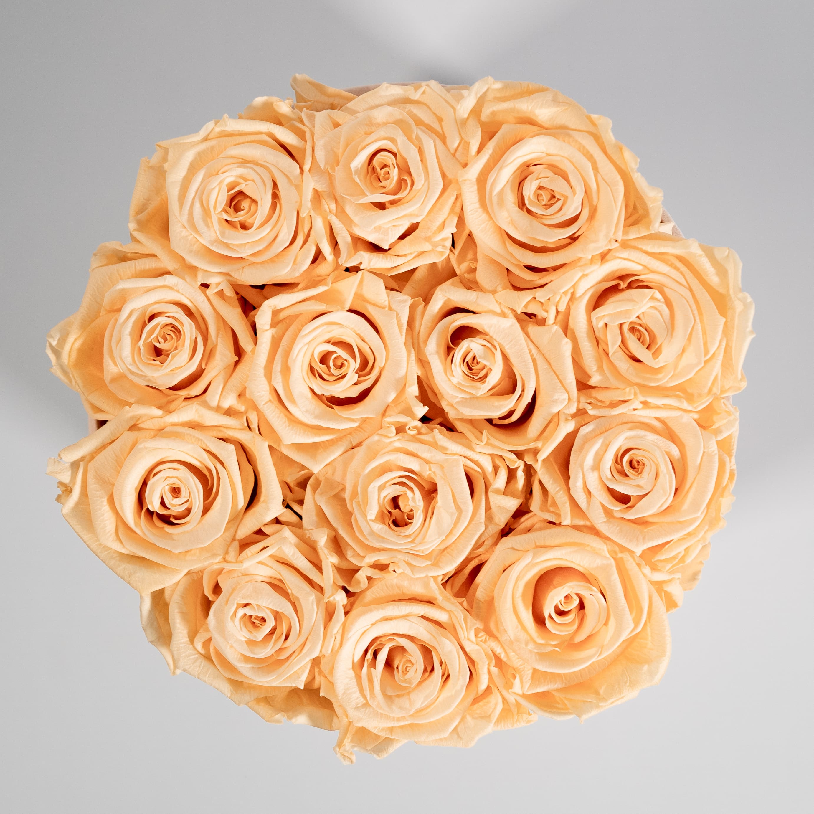 Summer inspired peach roses exhibited in an artistic beige box. 