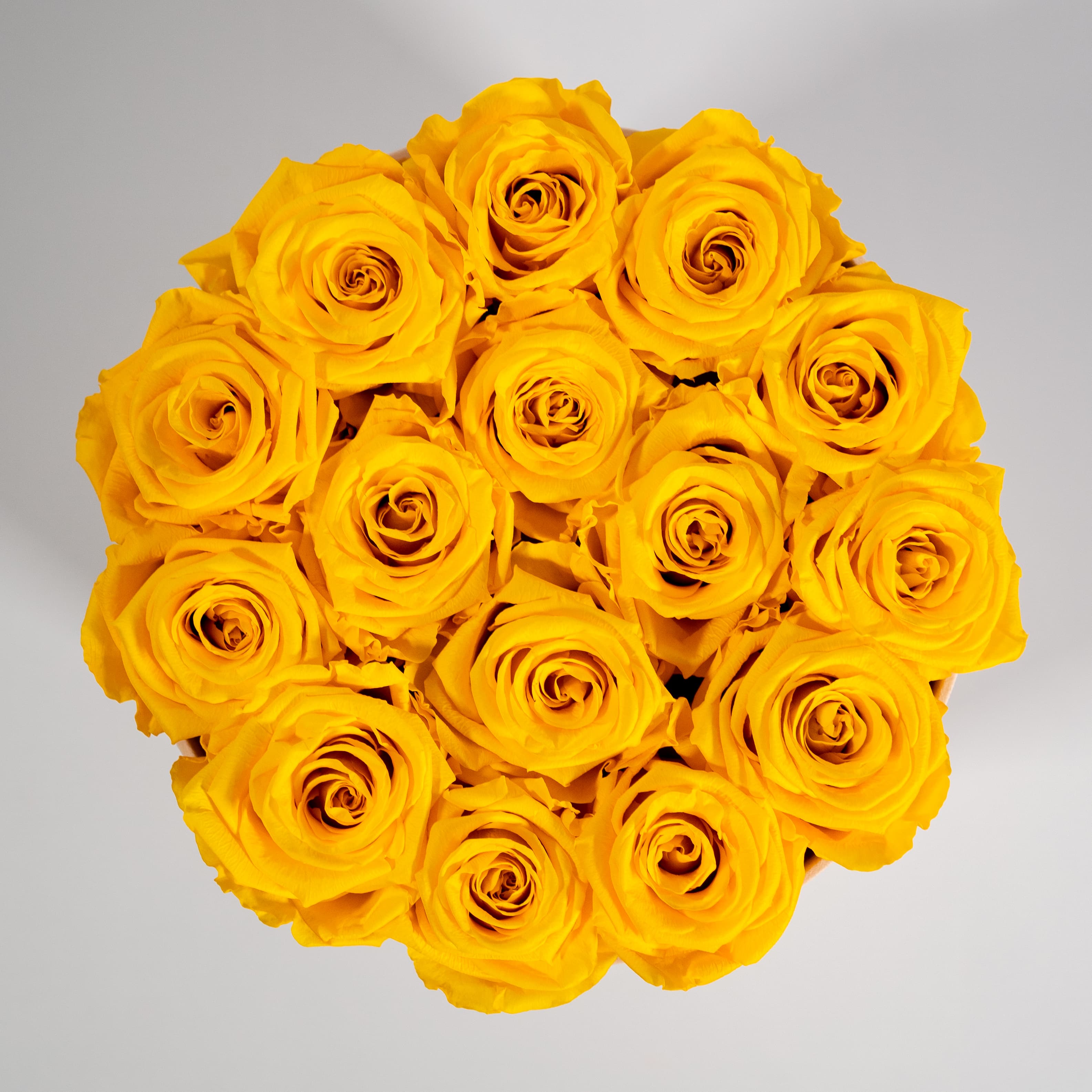 Delightful yellow roses in a spotless beige suede box. 