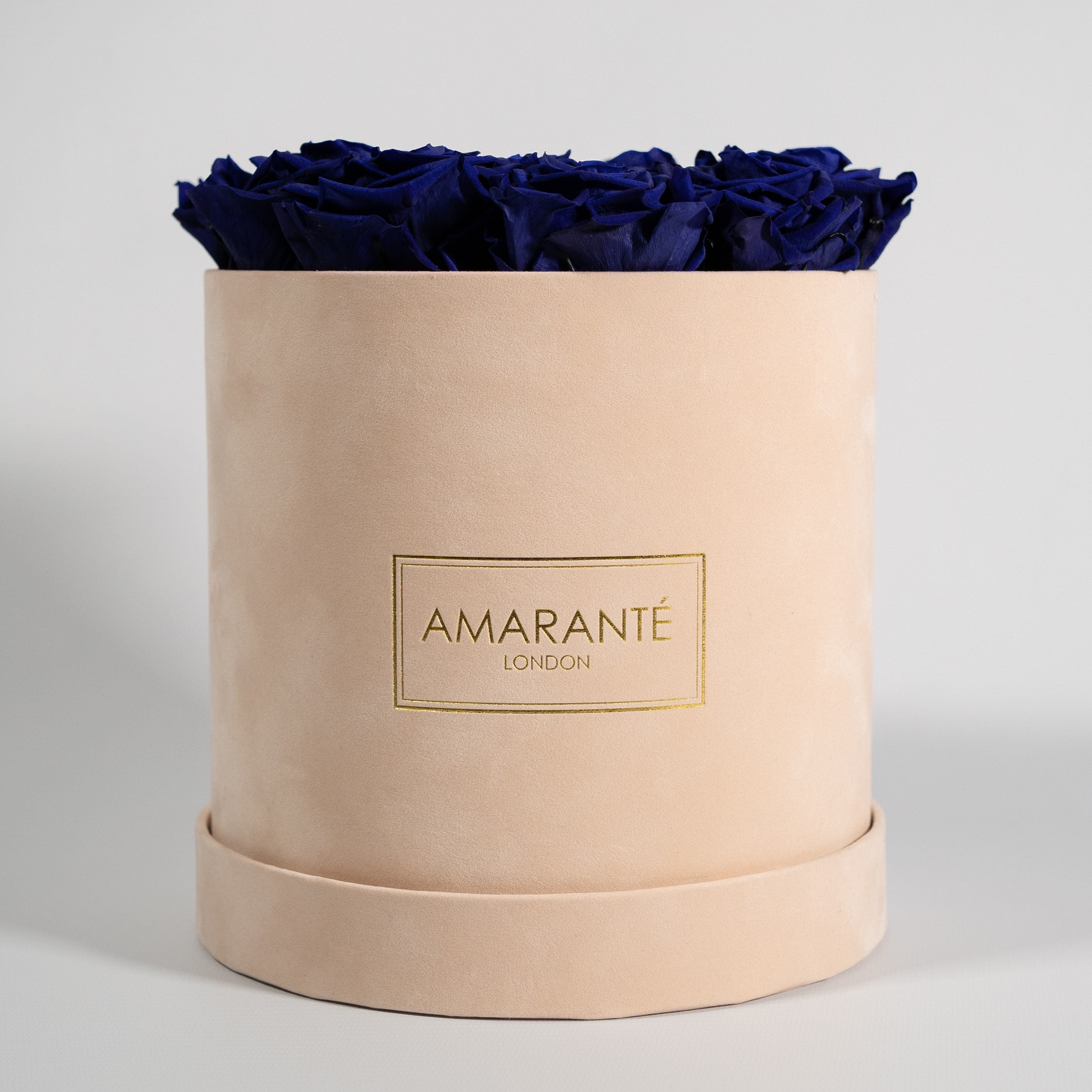Luxurious royal blue roses feature din a delicate beige medium box. 