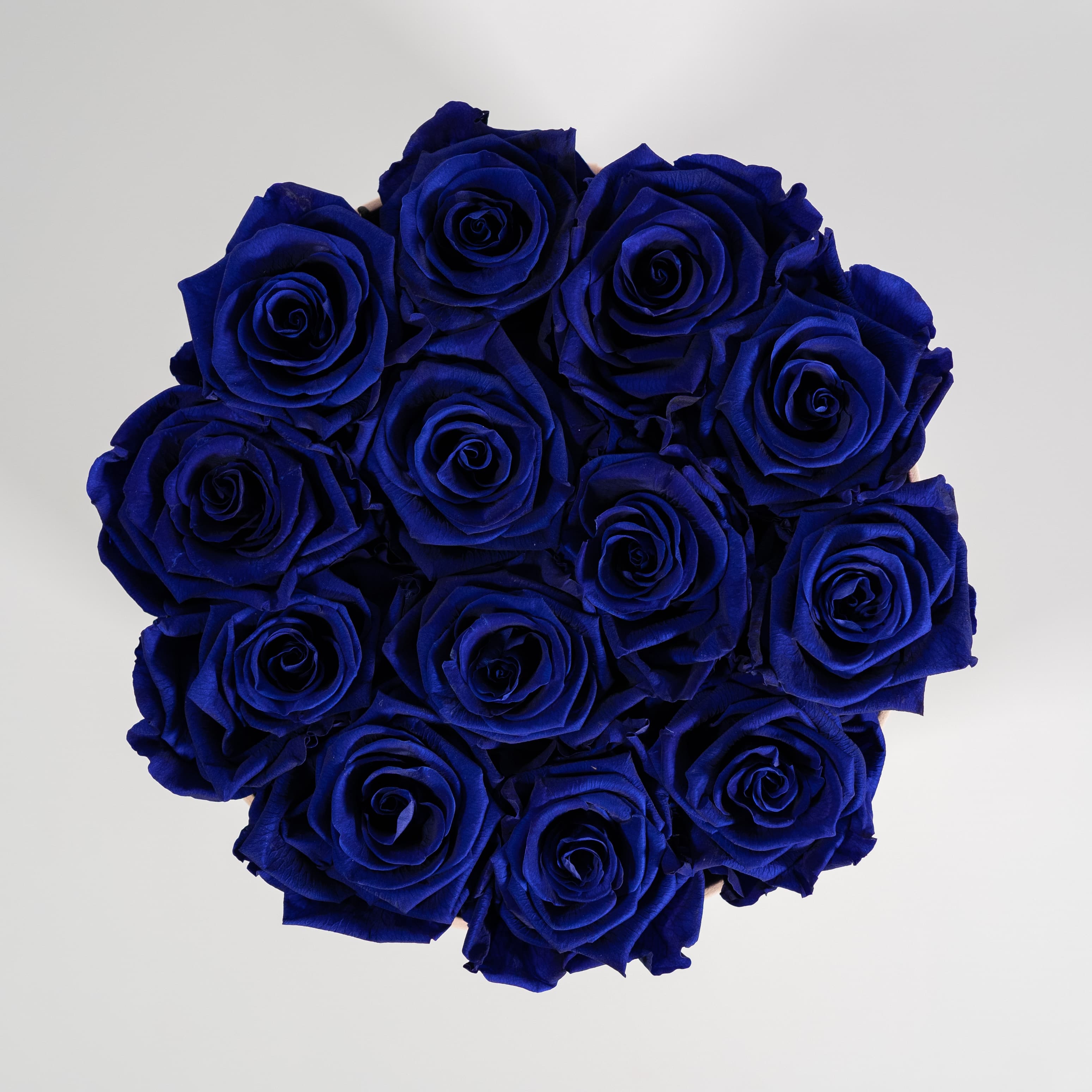 Stunning royal blue roses, an excellent choice for a brother or father. 