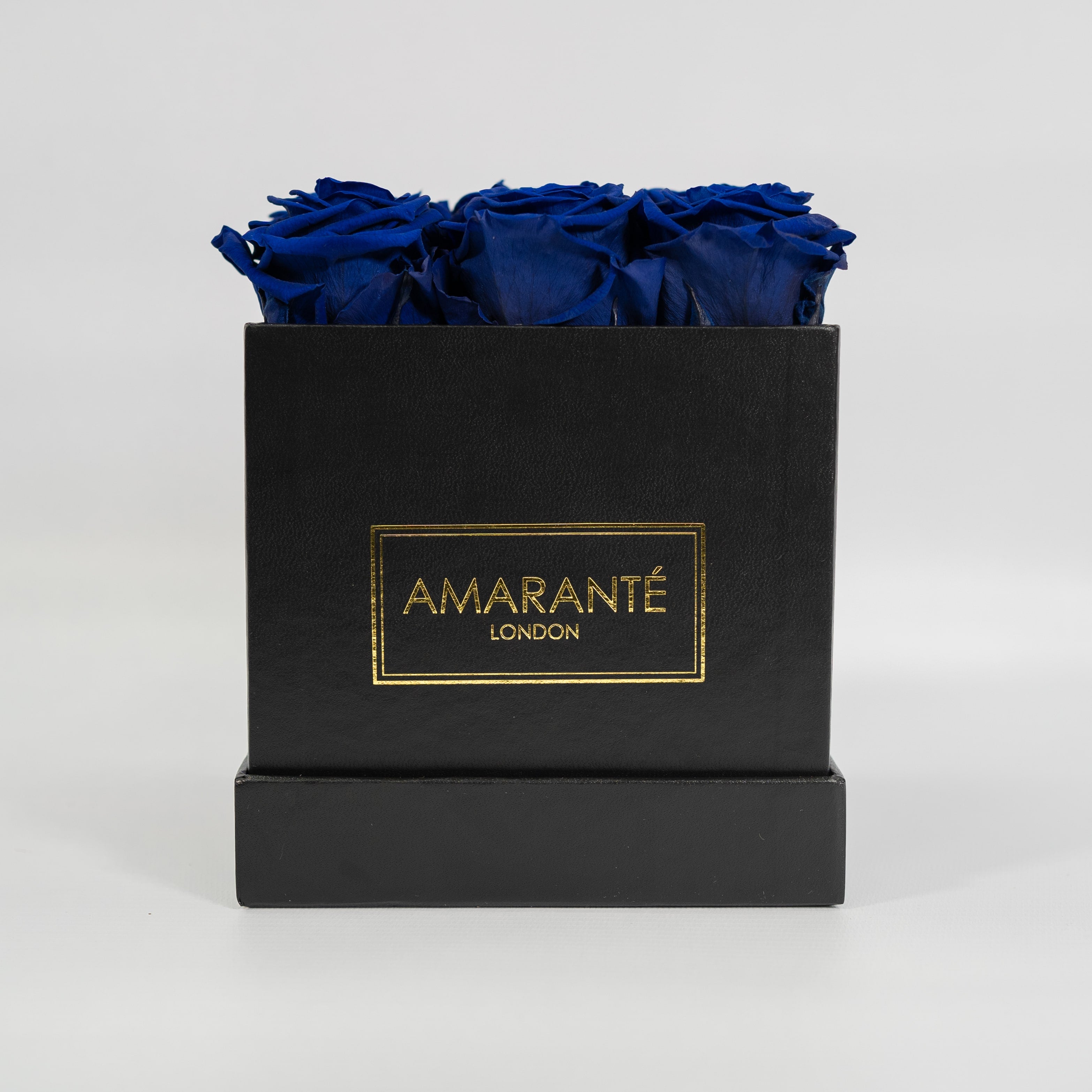 Majestic royal blue roses in a dapper black box