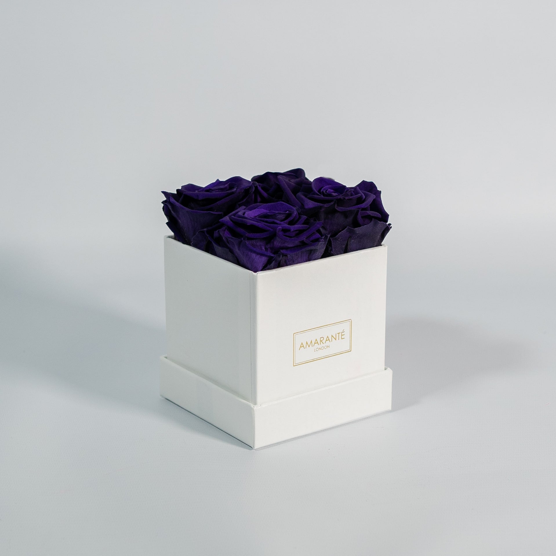 Luxurious royal blue roses exhibited in a sleek white box 