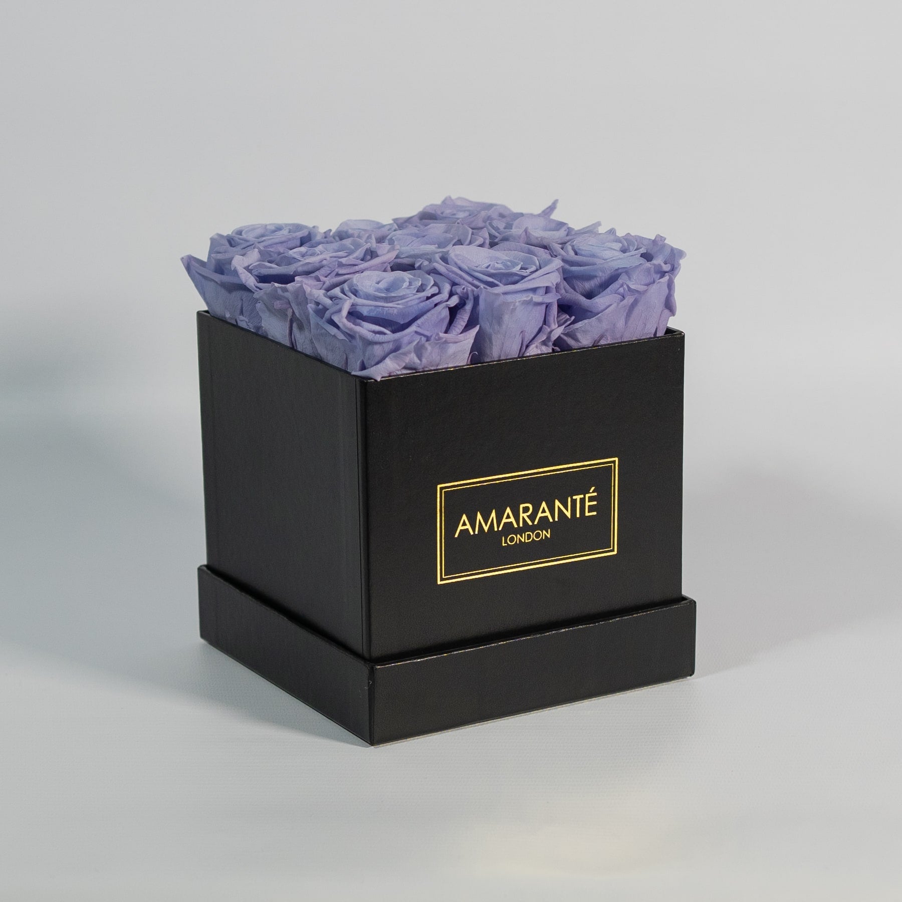 Blooming lavender roses in  a captivating black 