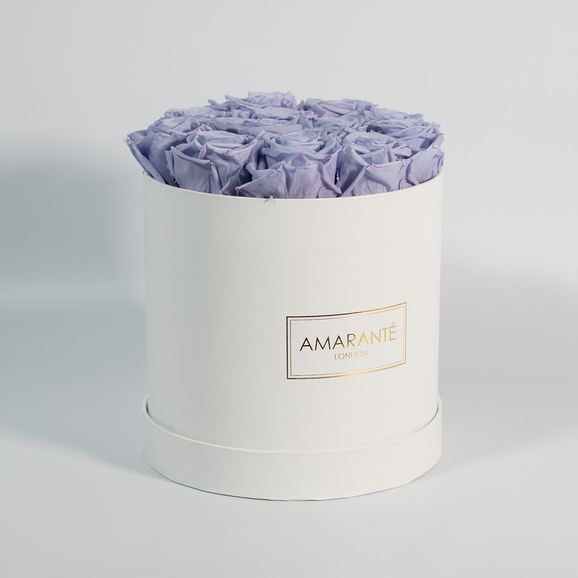 Artful lavender Roses beaming with calm and tranquilising colours. 