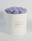 Artful lavender Roses beaming with calm and tranquilising colours. 