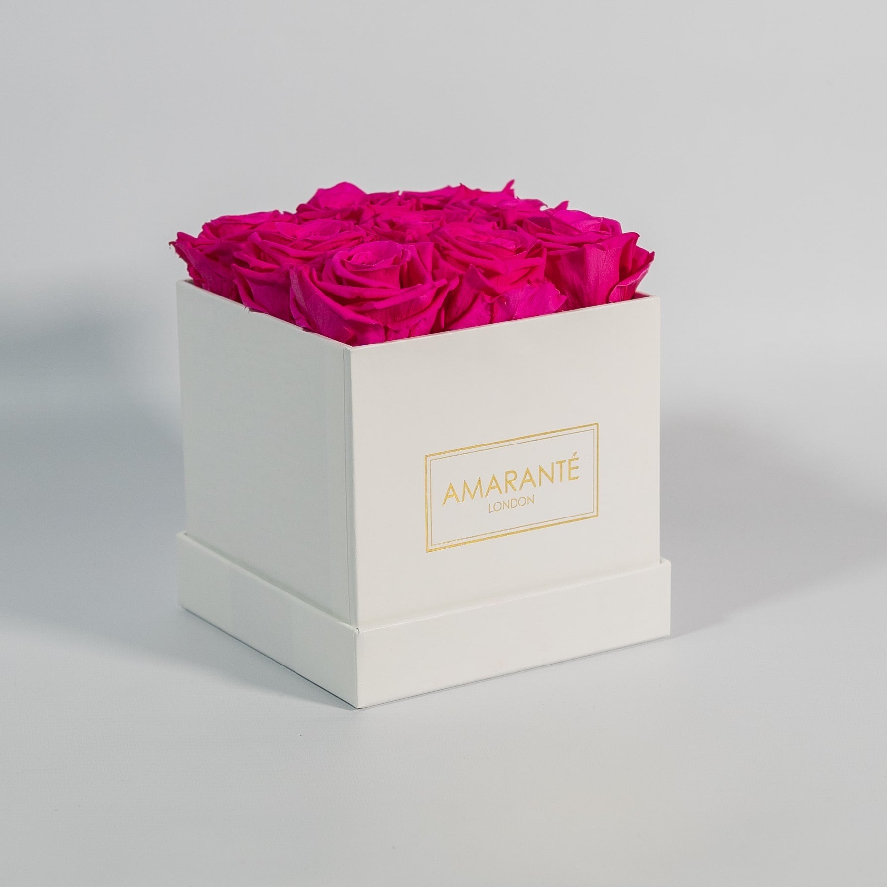 Distinctive hot pink roses photographed in a gorgeous white box 