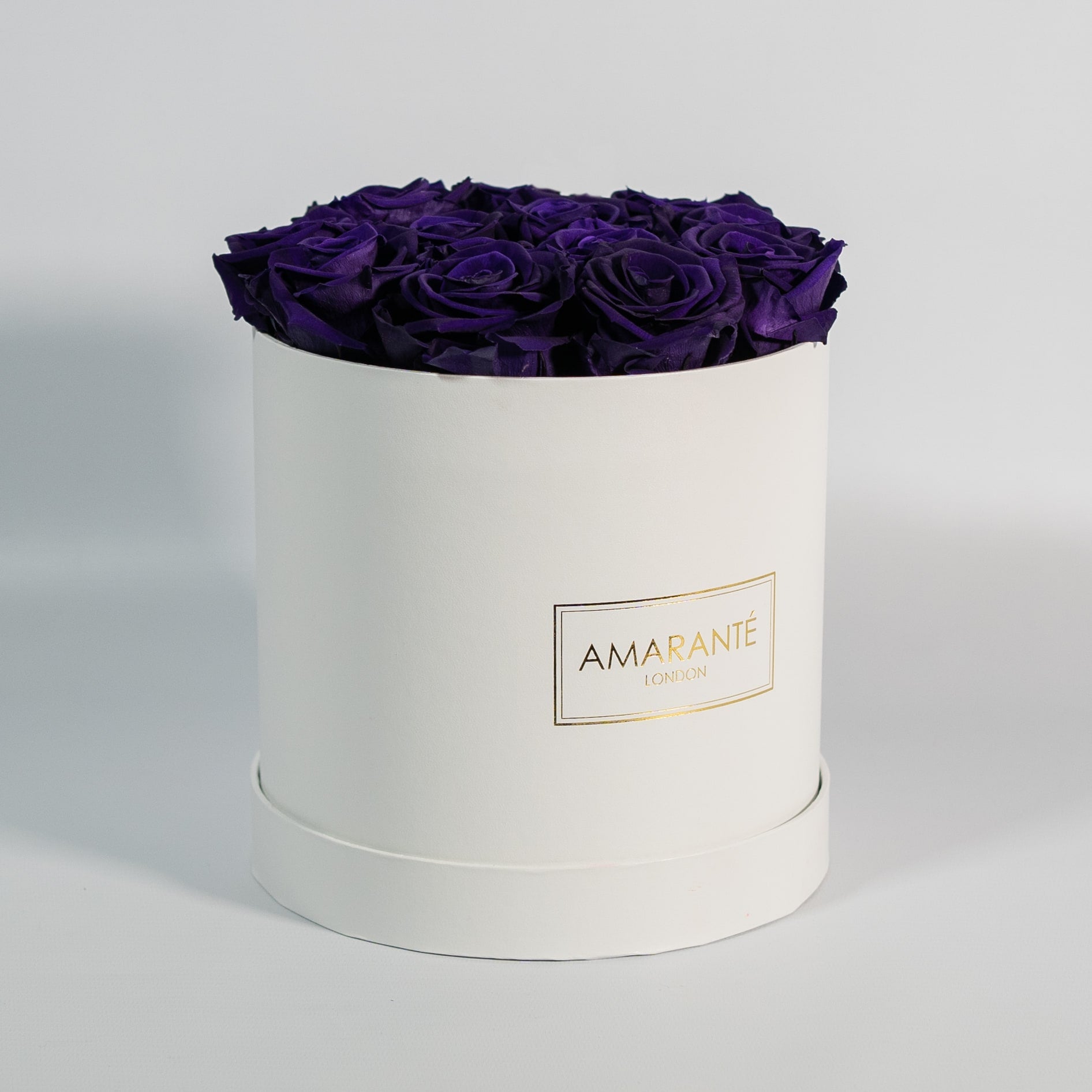 Luxurious dark purple roses entrenched in a beautiful white box 