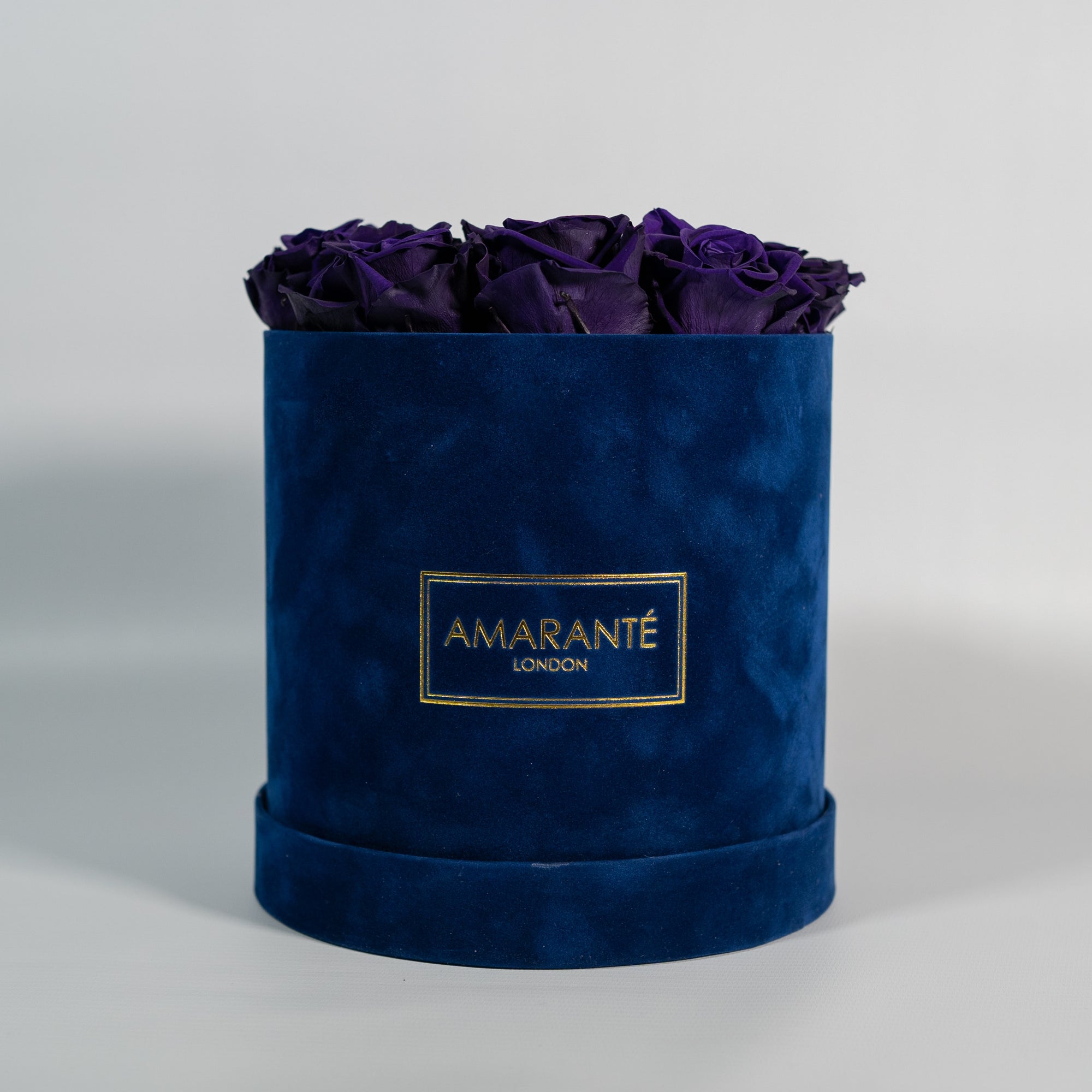 Stylish dark purple Roses bursting with creative and magical colours. 