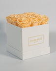 Tranquilising peach roses displayed in a white medium box  