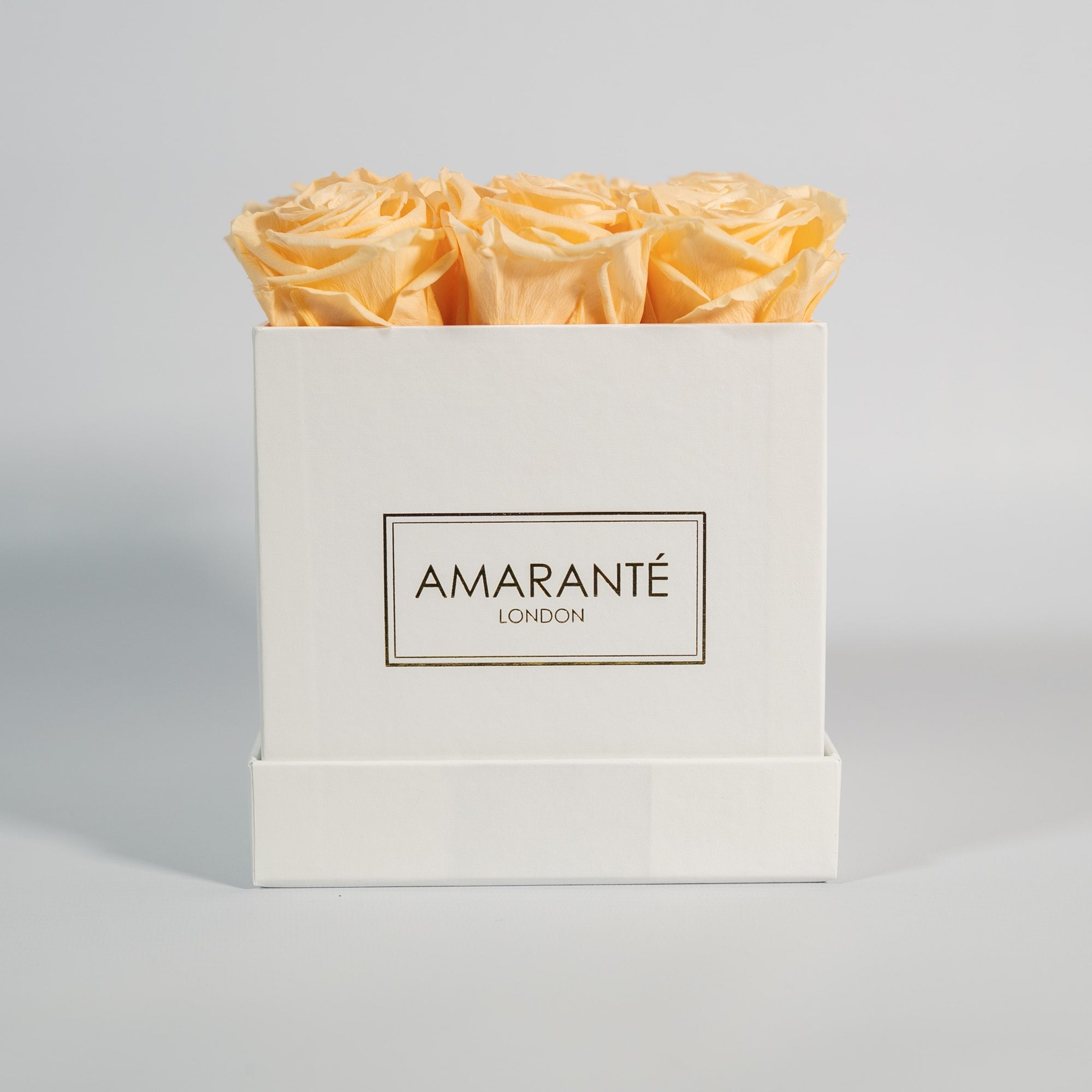 Amazing peach roses with alluring and delightful colours 