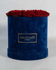 Captivating wine red Roses implying romance and love