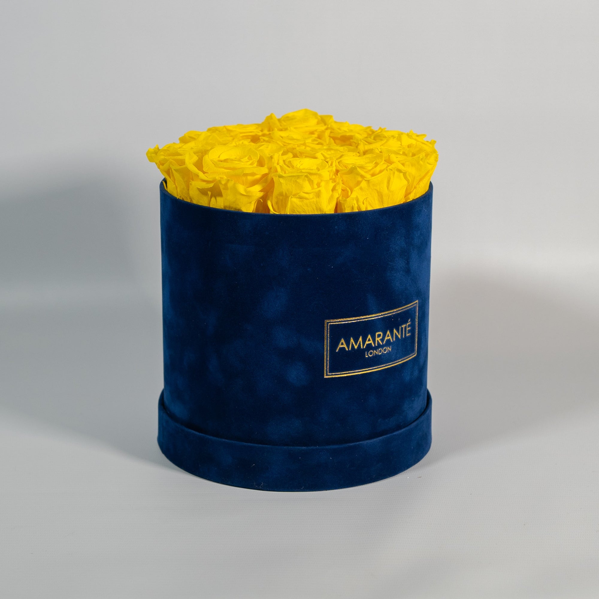 Delightful Roses in yellow photographed in a beautiful blue box 