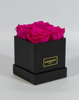 Expressive hot pink roses implying beauty and playfulness 