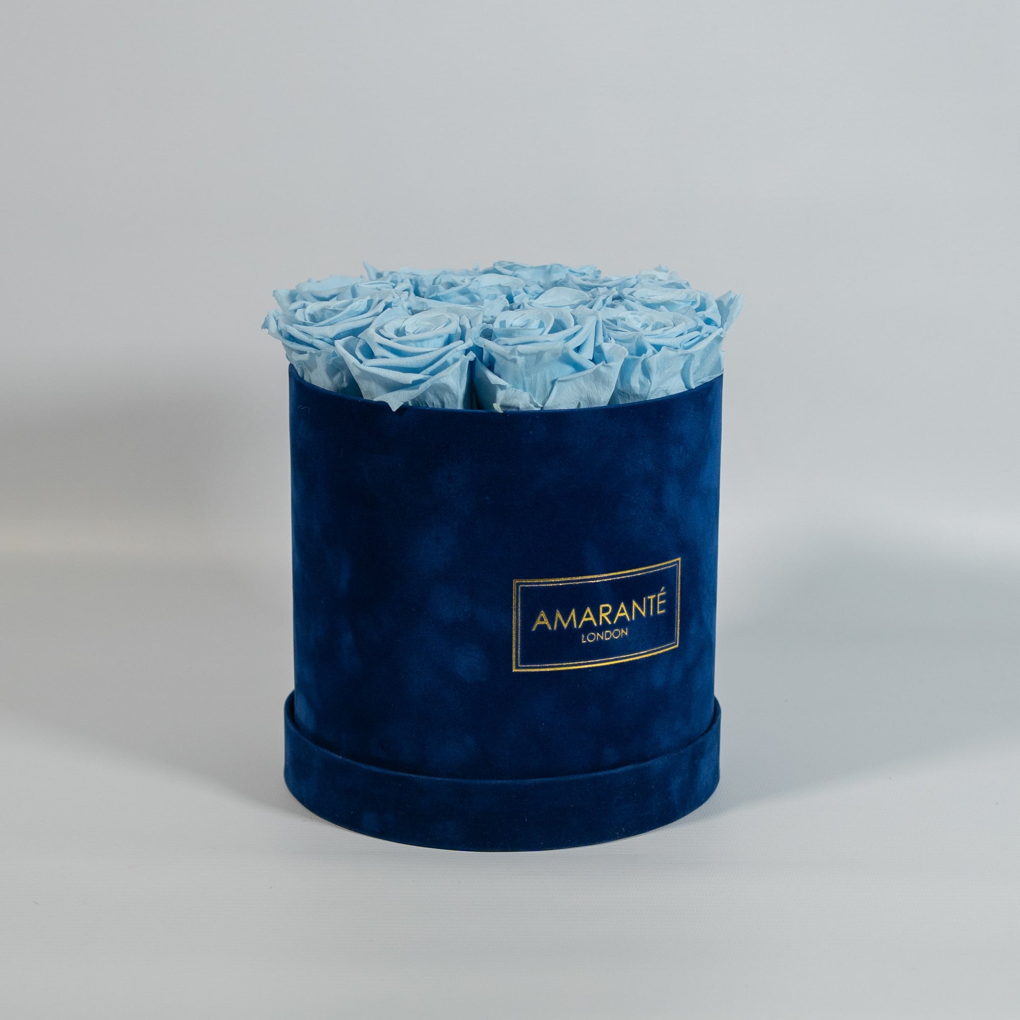 Cool light blue Roses featured in a luxurious blue Rose 