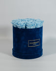 Cool light blue Roses featured in a luxurious blue Rose 