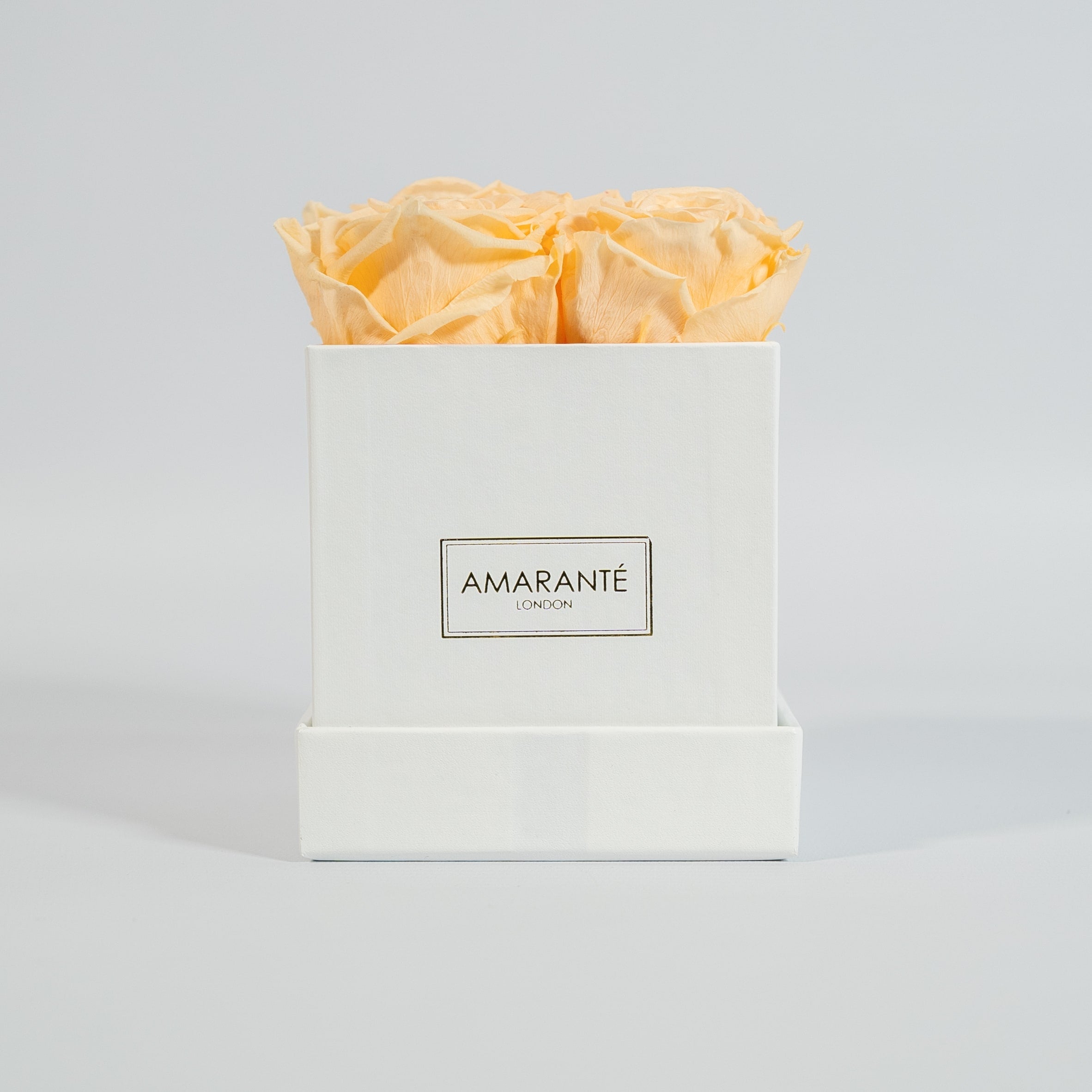 Warm peach roses featured in a charming white box 