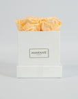 Warm peach roses featured in a charming white box 