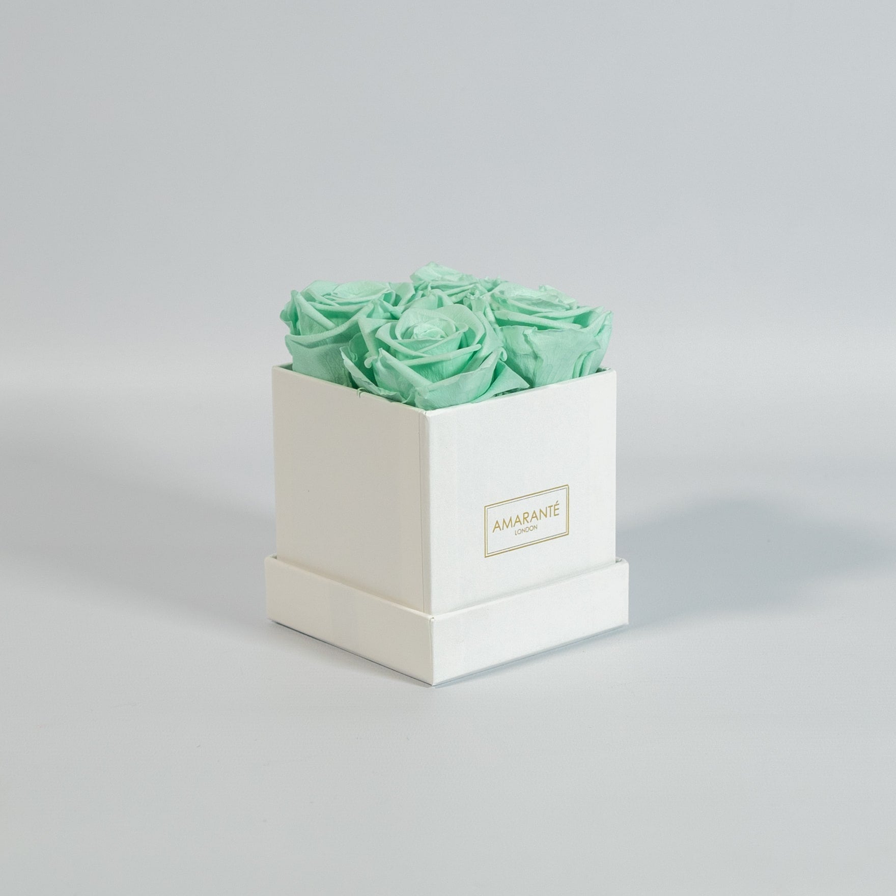 Revitalising mint green roses beaming with energising and peaceful colours 